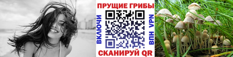 купить  сайты  Безенчук  Галлюциногенные грибы Cubensis 