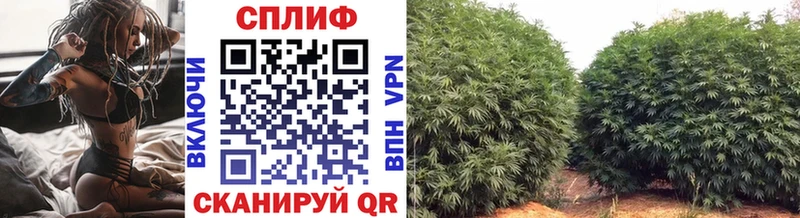 Каннабис LSD WEED наркота Безенчук